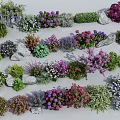Colorful Garden Flowers And Various Plants With Vibrant Blooms And Stones