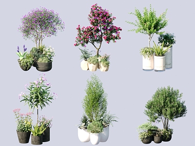 Internet Celebrity Courtyard Ins Flower Potted Plant model