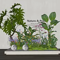 Bonsai Potted Plants Display With Large Leaves Small Flowers White Spherical Decorations Nature Peace Theme