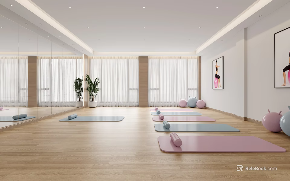 Modern Yoga Studio Interior With Mats Blocks Mirrors And Plants 3d model 
