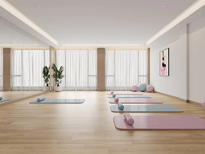 Modern Yoga Studio Interior With Mats Blocks Mirrors And Plants 3d model