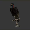 Black Bird With Blue Eyes Red Throat And Long Beak Standing On White Base