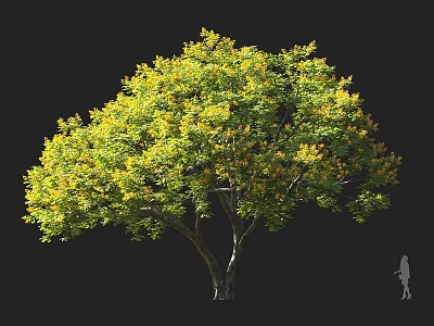 Arbor With Lush Canopy Green And Yellow Leaves Brown Trunk And Human Figure For Scale 3d model