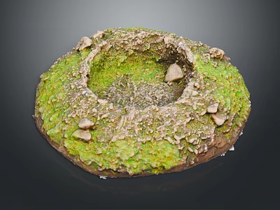 Circular Natural Landscape With Green Moss and Hollow Depression Surrounded By Small Stones 3d model