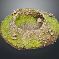 Circular Natural Landscape With Green Moss and Hollow Depression Surrounded By Small Stones