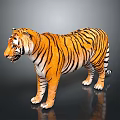 Realistic 3D Tiger Model With Orange Fur Black Stripes And Standing Posture