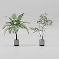 Green plant simple potted plant ornaments 3d model