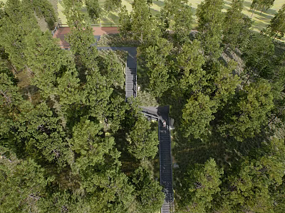 Aerial View Of Lush Green Forest With Winding Path And Red Area 3d model