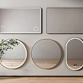 Modern Bathroom Mirrors With Rectangular Round Oval Shapes Framed Design And Green Plant Decor