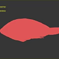 Red Fish With Vibrant Scales And Detailed Texture On Dark Background