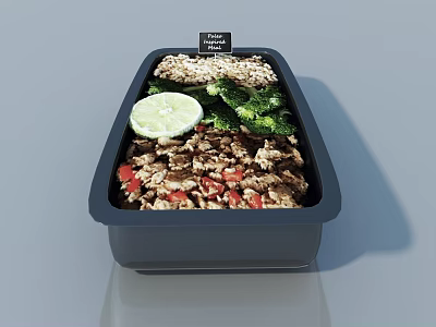 Daily Special Meal Box Containing Rice Broccoli Lemon Slice and Minced Meat 3d model