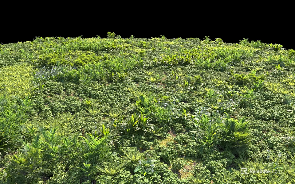 Green Plant Combination With Lush Various Foliage And Dense Outdoor Garden Coverage 3d model 