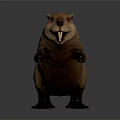 Beaver 3D Model With Brown Fur Long Tail And Sharp Claws