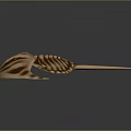 Detailed Horseshoe Crab Close Up View With Brown Striped Shell And Long Tail