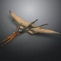Pterosaur With Outstretched Wings Long Beak And Detailed Body Structure