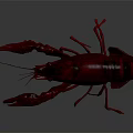 Vibrant Red Lobster Crawler 3D Model In Dynamic Pose With Extended Claws And Reflective Surface 3d model