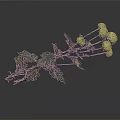 Green Chrysanthemum Branches With Yellow Flowers And Green Leaves On Gray Background