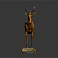 Life Size Taxidermy Antelope Mounted On Stone Base Against Gray Background