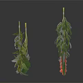 Fresh Various Herbs With Green Leaves And Red Berries Arranged