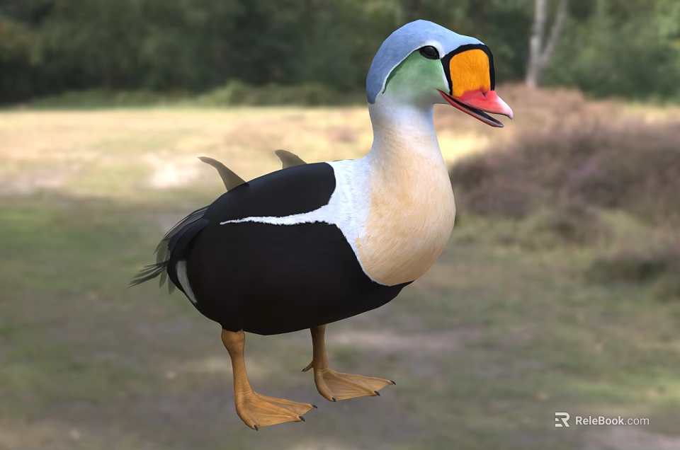 Aquatic Animal Duck With Blue Head Orange Beak Black White Feathers In Grassy Natural Habitat 3d model 