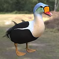 Aquatic Animal Duck With Blue Head Orange Beak Black White Feathers In Grassy Natural Habitat