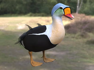 Aquatic Animal Duck With Blue Head Orange Beak Black White Feathers In Grassy Natural Habitat 3d model