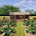 Scenic Thatched Roof Wooden House Surrounded By Vegetable Garden With Yellow Fruits And Trees