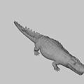Realistic Crocodile Head Close Up Showing Open Mouth Sharp Teeth And Textured Skin