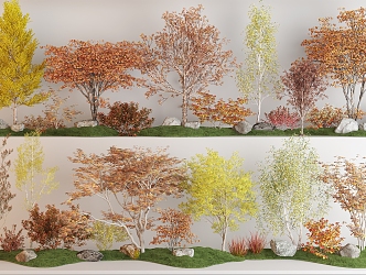 Tree Landscape Tree Autumn Landscape Tree Maple Tree Arbor Stone Autumn Landscape Tree Garden Landscape Tree 3d model