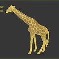 Giraffe With Long Neck And Brown Yellow Spots On Gray Background