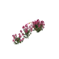 Vibrant Pink Flower Garden Ornament With Green Leaves And Lush Foliage