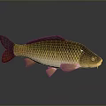 Golden Green Red Scaled Fish Figurine as Stylish Home Living Accessory