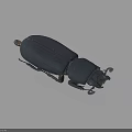 Dark Blue Beetle With Shiny Hard Shell And Long Antennae On Gray Background 3d model