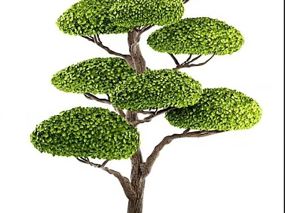 Artistically Pruned Bonsai Tree Featuring Lush Green Round Canopies And Sturdy Wooden Trunk 3d model
