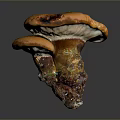 Beautiful Flowers With Green Moss On Orange Mushroom In Natural Setting