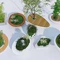 Diverse Tree Pits With Various Shapes Materials And Green Plants For Landscape Design