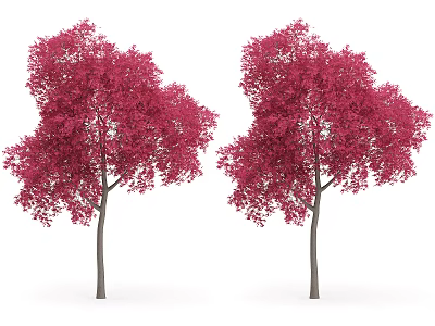 Vibrant Red Leaf Trees With Gray Trunks And Lush Canopies 3d model