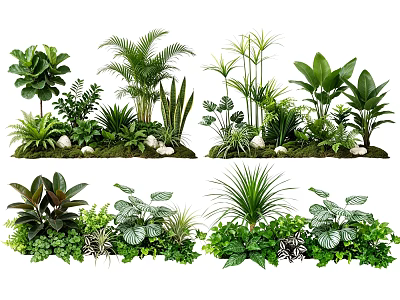 Elegant Plant Combinations For Indoor Decor With Tropical Greenery And Leafy Varieties 3d model