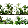Elegant Plant Combinations For Indoor Decor With Tropical Greenery And Leafy Varieties