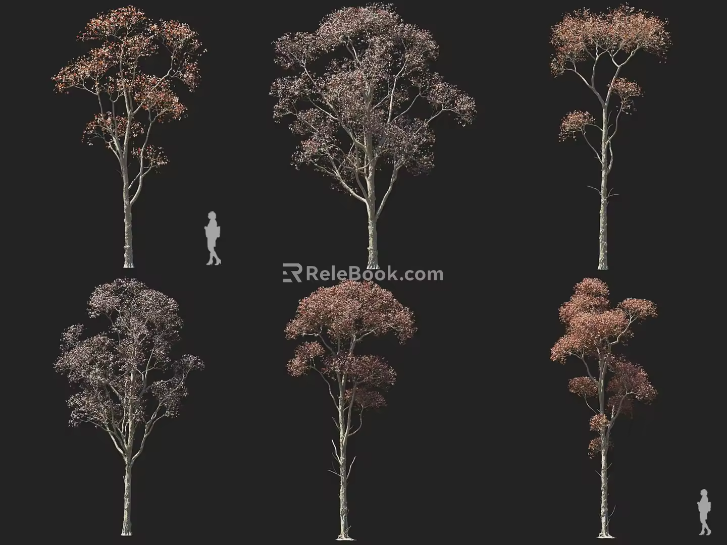 Chinese tallow wood tallow tree wax tree wood tree autumn and winter tree deciduous tree red leaf tree landscape tree courtyard tree 3d model