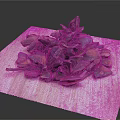Natural Dried Brown Plant Pods Arranged On Wooden Cutting Board