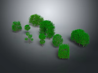 Lush Green Trees Collection With Various Sizes and Shapes Against Gray Background 3d model