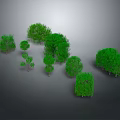Lush Green Trees Collection With Various Sizes and Shapes Against Gray Background