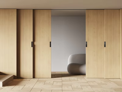 Modern Interior Design With Wooden Sliding Doors And Light Wooden Floor Plus Sofa 3d model