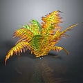 Colorful Feathery Fern Plant With Green And Orange Leaves On Dark Background With Reflection