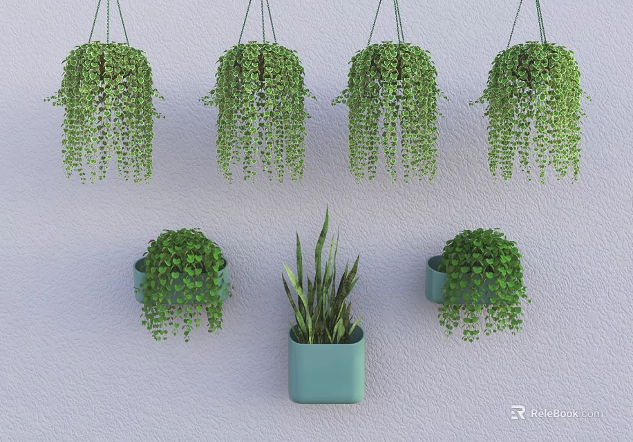 Hanging Basket Plants Balcony Decor With Various Green Succulents And Spider Plants 3d model 