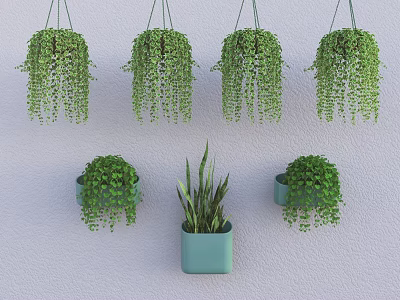 Hanging Basket Plants Balcony Decor With Various Green Succulents And Spider Plants 3d model
