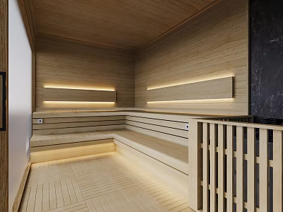 Modern Wooden Sauna Room With Integrated Lighting 3d model