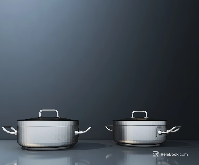 Pair Of Stainless Steel Kitchen Pots With Lids And Handles 3d model 