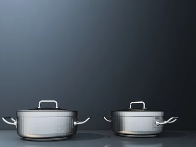 Pair Of Stainless Steel Kitchen Pots With Lids And Handles 3d model